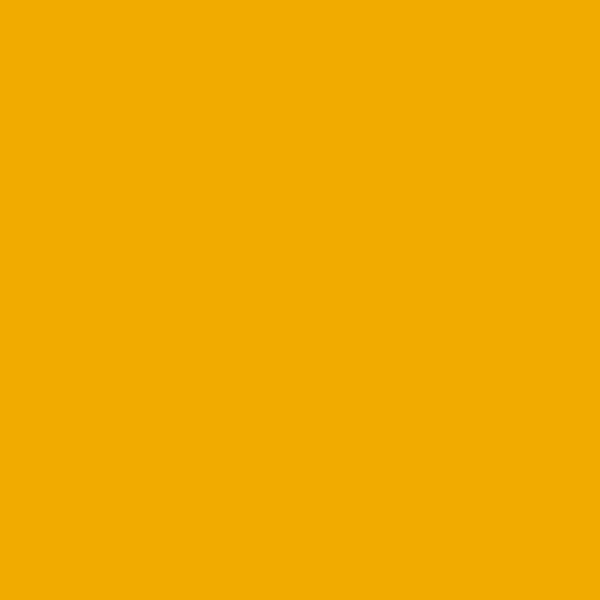 Background - #f1ab00